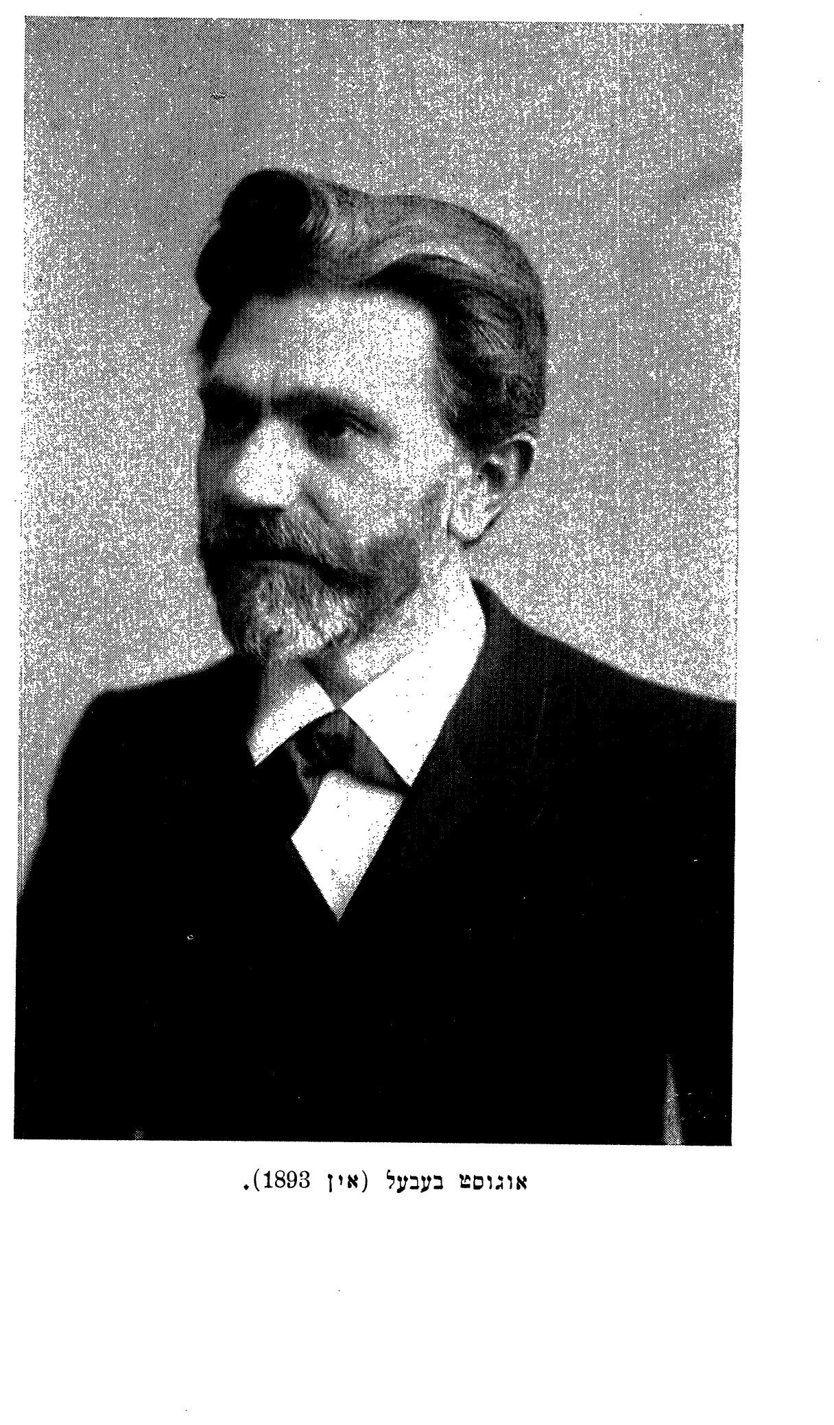 August Bebel (in 1893).